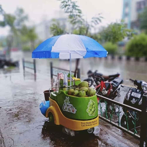 classic coconut water vending cart