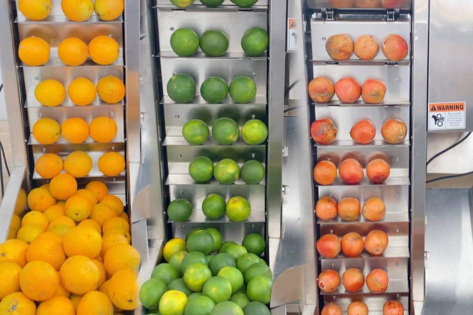 Industrial Citrus Juice Extraction Machine Popular Steel Industries Store