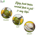 Tender coconut cutting process